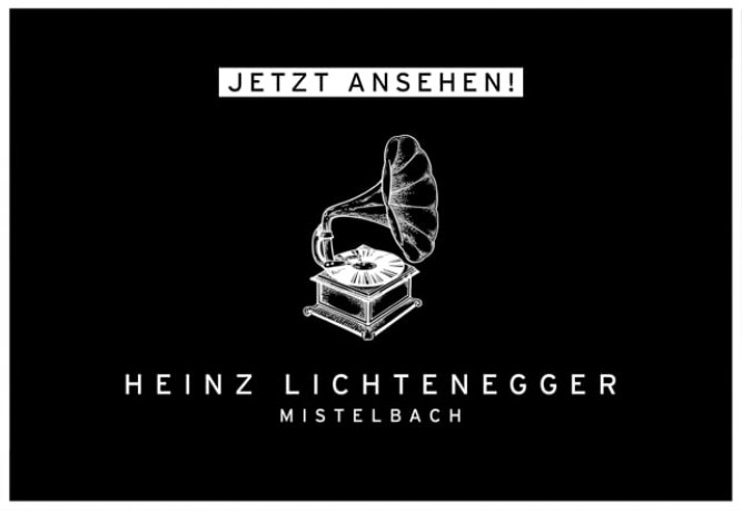 Erfolg aus Niederösterreich - Project Audio