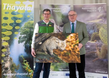 LH-Stellvertreter Stephan Pernkopf und Nationalpark-Direktor Christian Übl beim Start des Wildkatzentelemetrie-Projekts im Nationalpark Thayatal (v.r.n.l.)