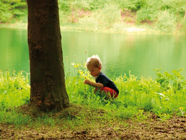 spielendes Kind in der Wiese