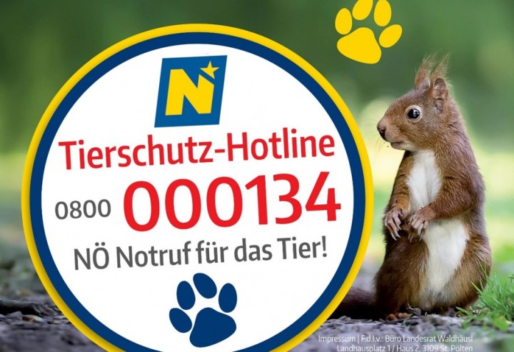NÖ Tierschutz-Hotline