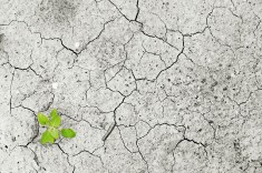 Daten & Fakten zum Klimawandel