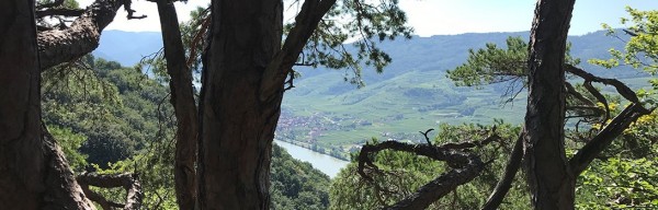 Seekopf Wachau