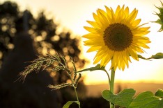 Start-KLAR! gegen die Klimakrise