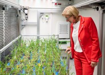 Die neuen Klimakammern am AIT bieten die Möglichkeit, unterschiedlichste Umweltbedingungen präzise zu simulieren.