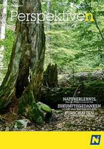 Niederösterreich Perspektiven