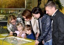 Beim Rundgang durch das Museum Niederösterreich: Landeshauptfrau Johanna Mikl-Leitner, Sophie und Maximilian, Familien-Landesrätin Christiane Teschl-Hofmeister, Claudia und Harald Parzer (v.l.n.r.)