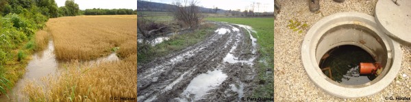 Mögliche Folgen von Biberdämmen