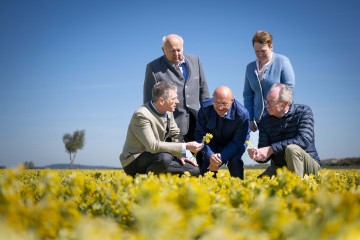 Am Schlüsselblumenfeld von Waldland in St. Pölten (v.ln.r.) Waldland-Geschäftsführer Franz Tiefenbacher, Obmann Waldviertler Sonderkulturenverein Robert Haidl, Bionorica-CEO Michael Popp, Andrea Wagner, Vizepräsidentin der Landwirtschaftskammer NÖ, und LH-Stellvertreter Stephan Pernkopf.