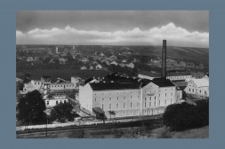 Dürnkrut Zuckerfabrik 1952