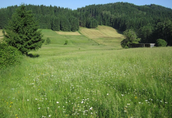 Anmeldung für die ÖPUL Naturschutzmaßnahme