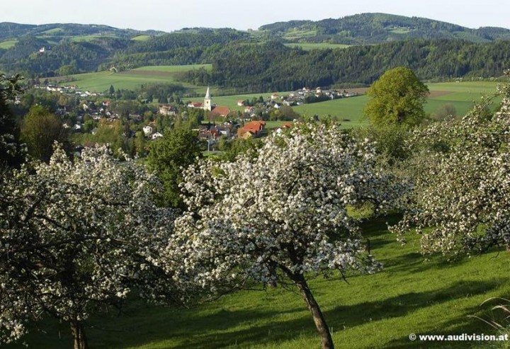 Klimawandelanpassung