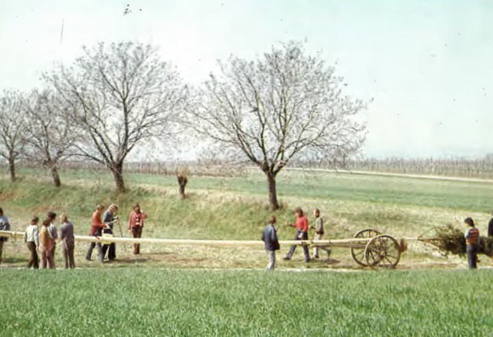 Highlight des Monats