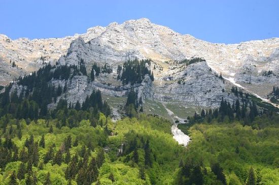 Wildnisgebiet Dürrenstein Hundsau Süd